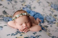 Cadence Beanbag Backdrop