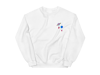 Planet sweatshirt 