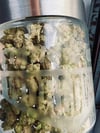 Big Stash Jar