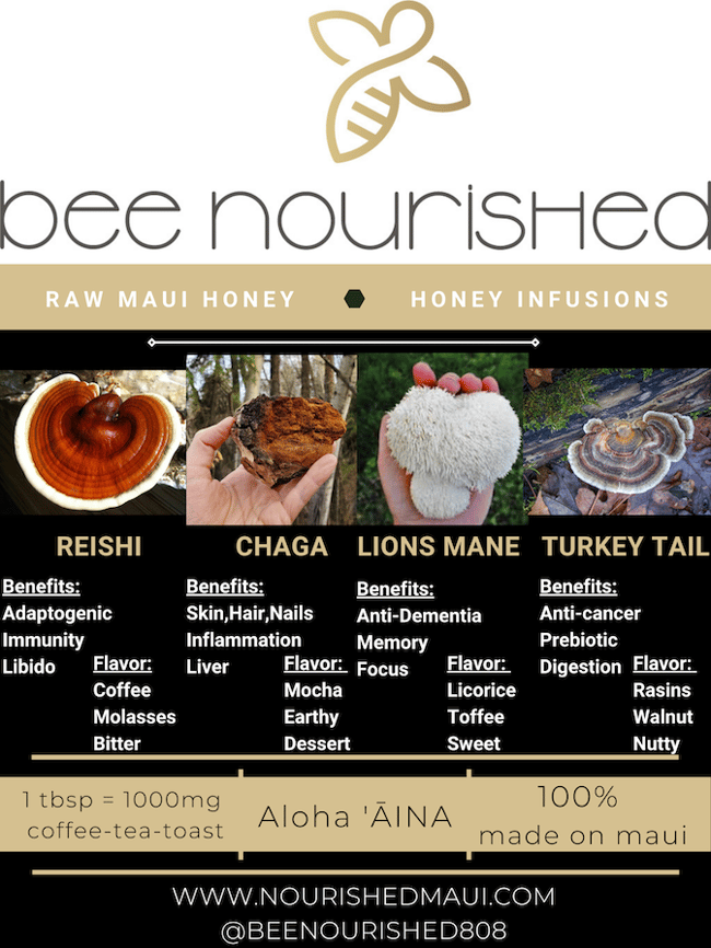 Reishi Mushroom Honey 