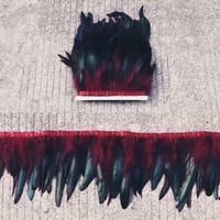 Image 1 of Maroon Feathers 