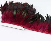 Image 2 of Maroon Feathers 