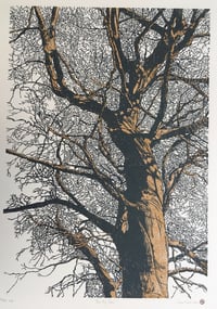 Image 1 of Big Tree (version 2)