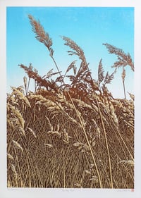 Image 1 of The Long Grass (version 1)