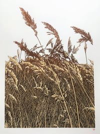 Image 1 of The Long Grass (version 2)