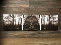 Image 3 of ALTERED BUFFALO - Altered Buffalo. Exclusive 6 Panel Digisleeve CD.