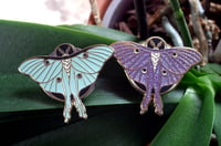 Image 2 of Dark Moon Moth Enamel Pin