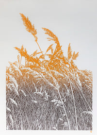 Image 1 of The Long Grass (version 3)