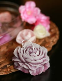Peonie galleggianti 