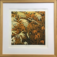 Image 5 of Autumn Ferns