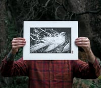 Image 2 of Burning Phoenix  · Print
