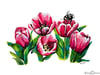 Lucy Cortese "Tulips"