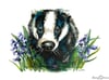Lucy Cortese "Badger"