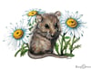 Lucy Cortese "Door Mouse"