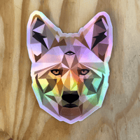 Cosmic Coyote