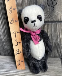 Image 3 of Mini Panda