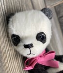 Image 2 of Mini Panda