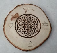 Tarot/Crystal/Tasseomancy wood slice