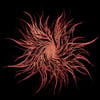 Galaktik Cancer Squad "Ghost Light" CD