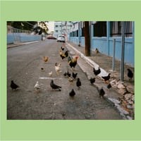 Image 5 of morning walks in santurce