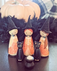 Image 1 of Good Witch 