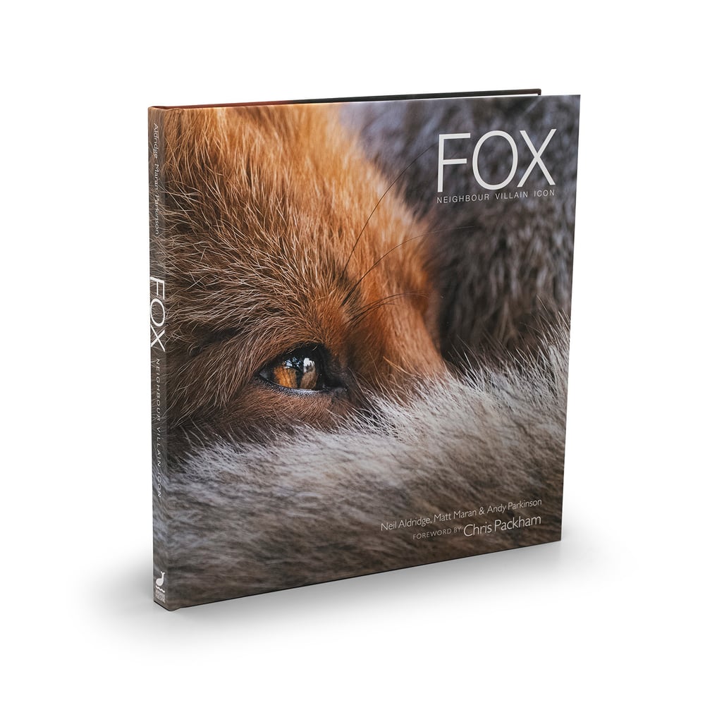 Image of Fox Neighbour Villain Icon