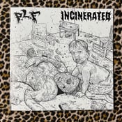 Image of P.L.F. / Incinerated - Split 7" (Blue Vinyl)