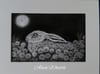 Under a Dandelion Moon: Original Charcoal Drawing of a Hare