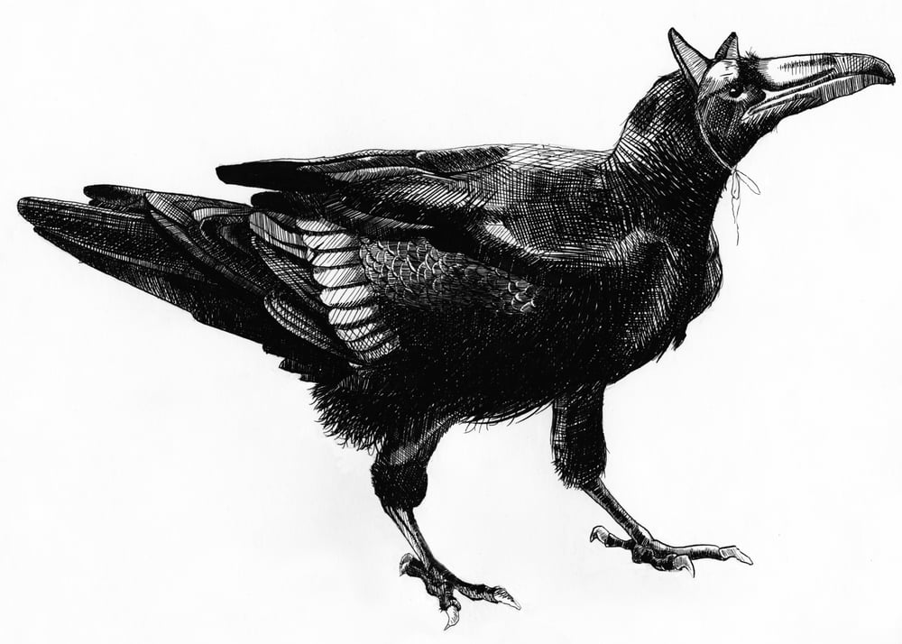 Image of 'Party Raven' Giclee Print