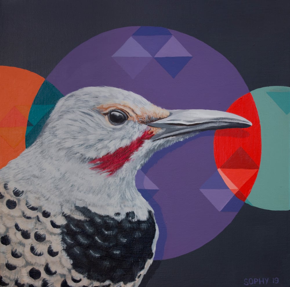 Image of 'Northern Flicker' Giclee Print