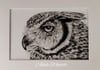 Daydreamer: Original Charcoal Owl Drawing