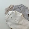 The Turtleneck Vest