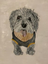 very best boy