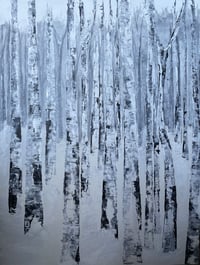 winter birches