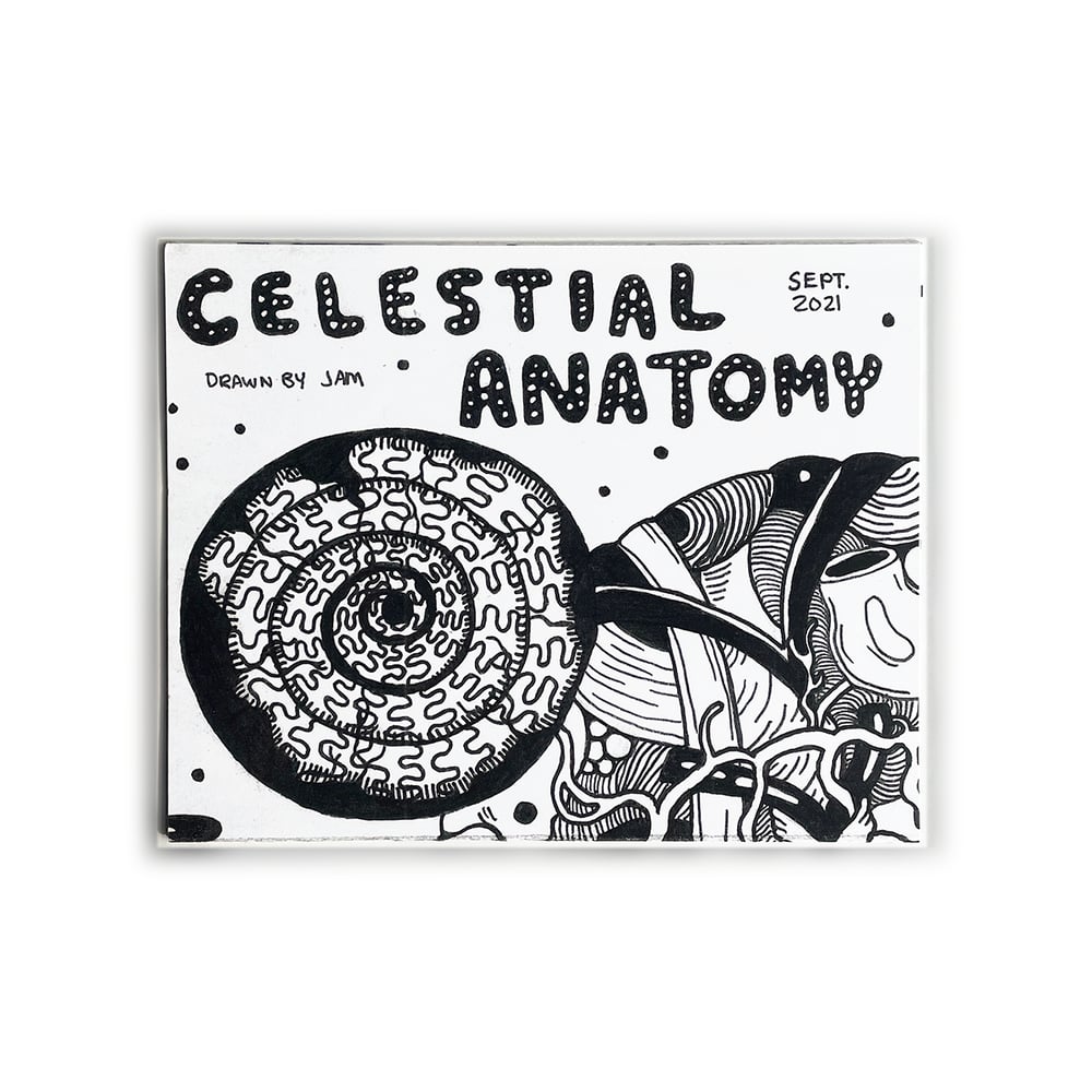 Celestial Anatomy by Jam Doughty