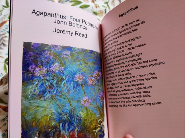 Man is the Animal: A Coil Zine - Issue 2 READING COPIES