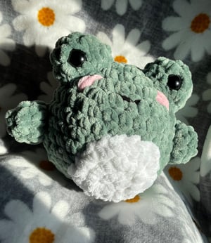 Image of Large Fluffy Frog Plushie