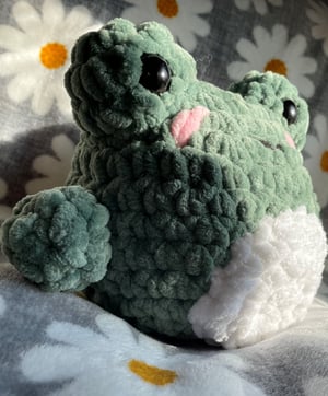 Image of Large Fluffy Frog Plushie