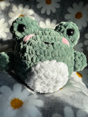 Image of Large Fluffy Frog Plushie