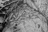 Image 3 of Wasp's Nest · Original Art