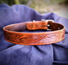 Large Dog Collar #1