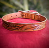 Large Dog Collar #2