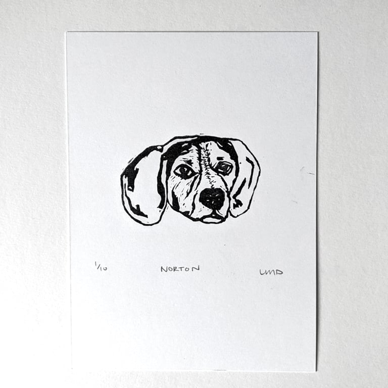 Norton (Beagle) Image 2