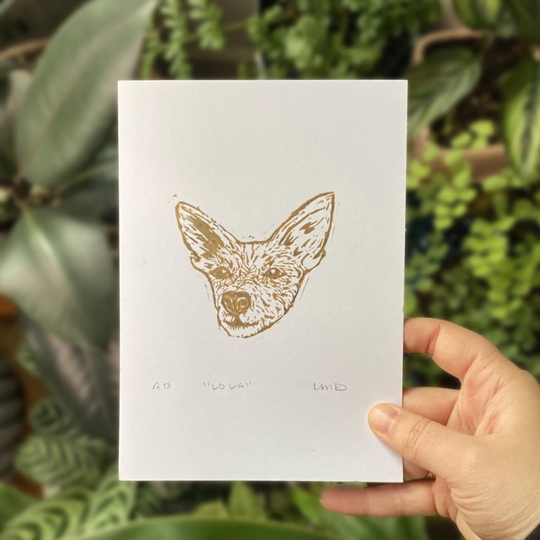 Lola (Chihuahua/Terrier)