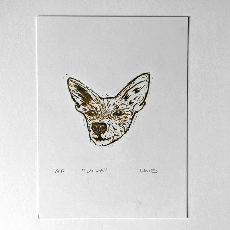 Lola (Chihuahua/Terrier) Image 2