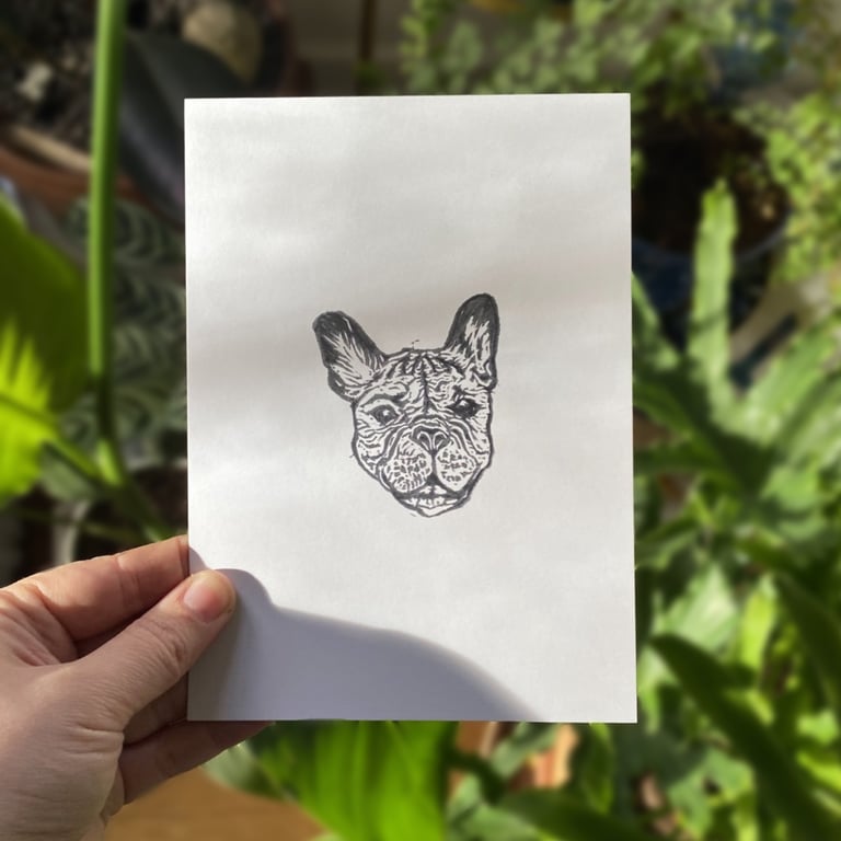 Sophia (French Bulldog) 