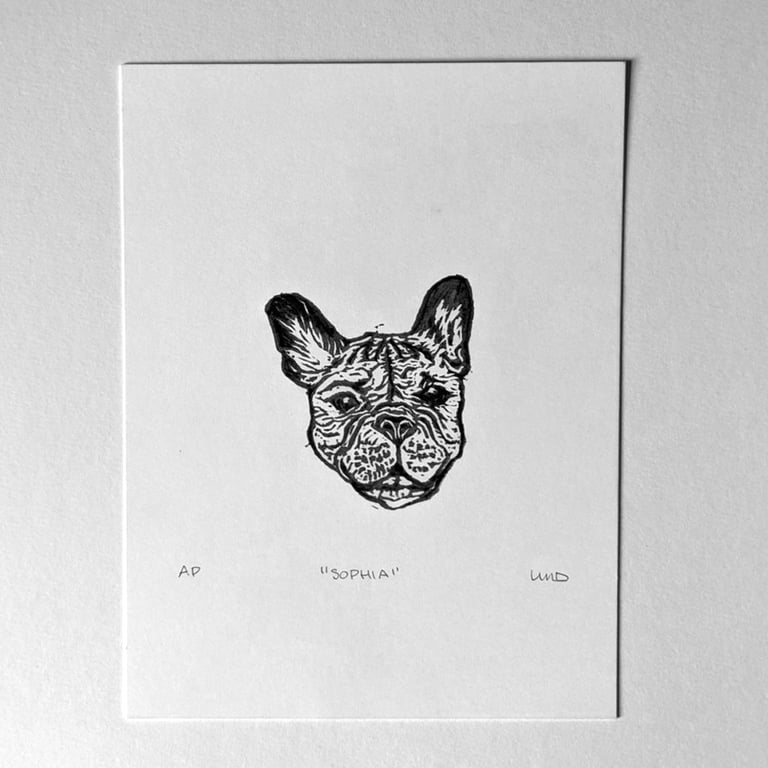 Sophia (French Bulldog)  Image 2