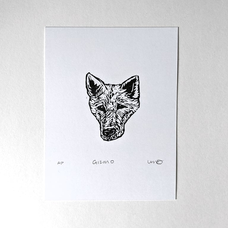 Gizmo (Akita) Image 2