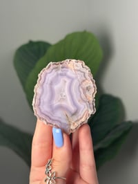 Image 2 of LIGHT PURPLE LAGUNA AGATE WITH PARALAX