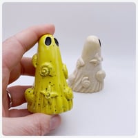 Image 3 of Shells 7 cm